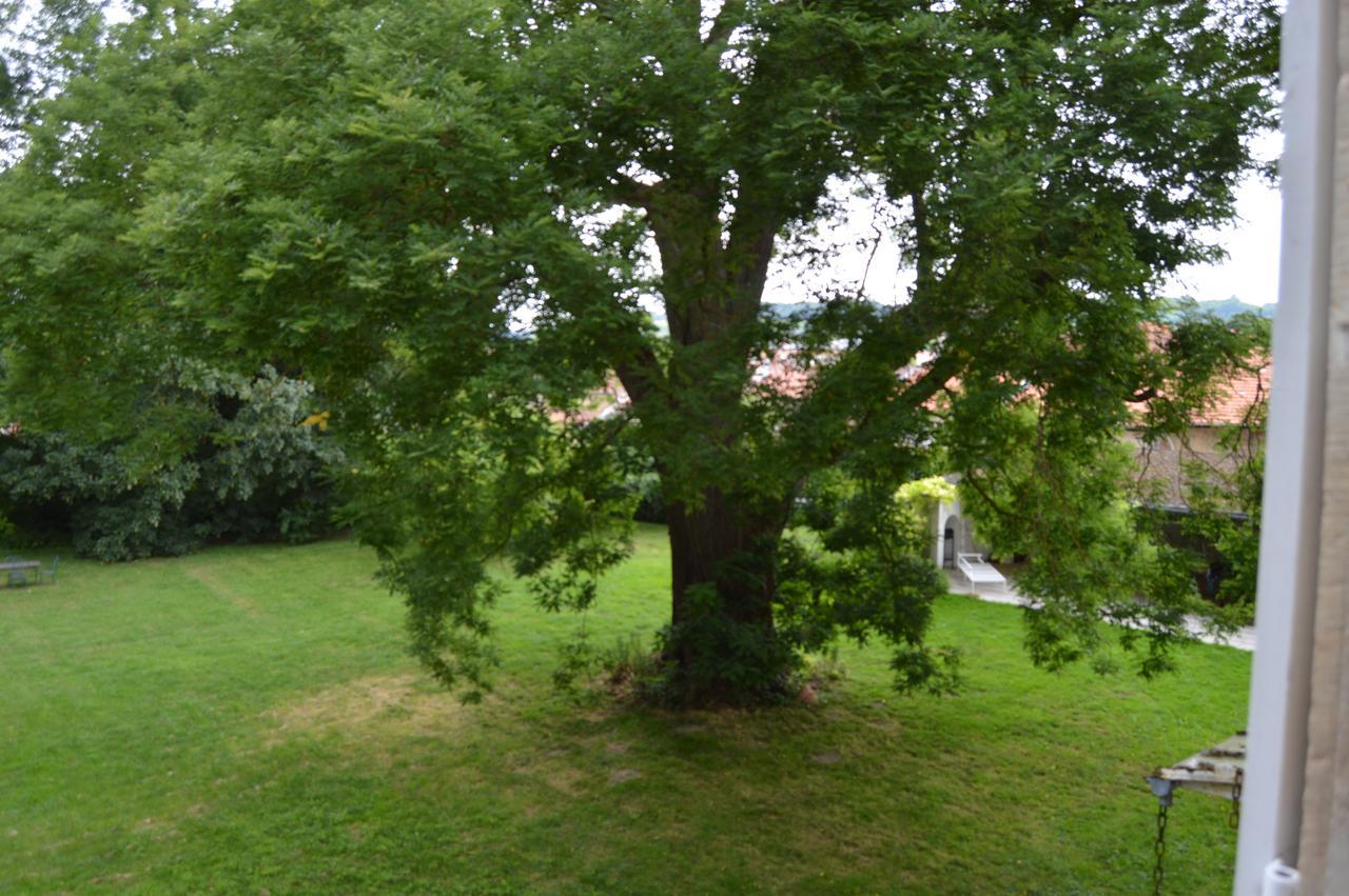 Chateau Mesny Vic-sur-Seille Exterior photo